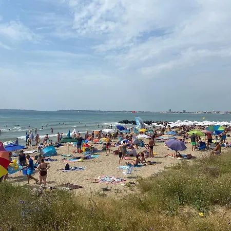 Sea Dreams F17 * סבטי ולאס