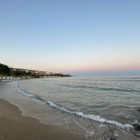 Sea Dreams F17 * סבטי ולאס