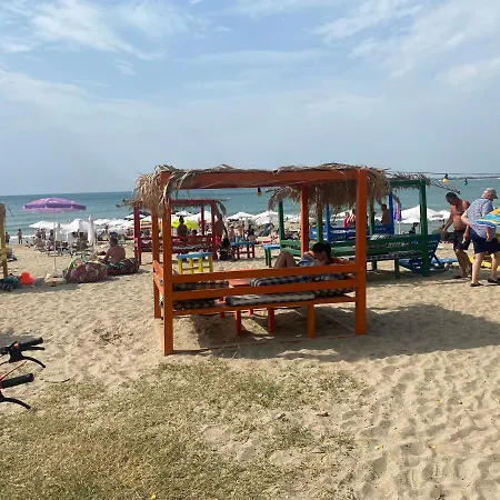Sea Dreams F17 סבטי ולאס